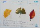 2022kokubunji-k47.jpg